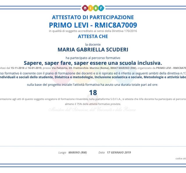 Ingrandire l'immagine: certificate 11