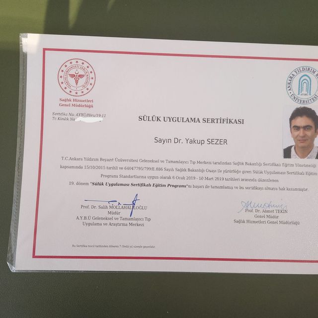 Resmi büyüt: certificate 8