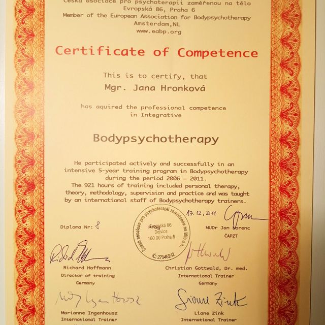 Zvětšit obrázek: certificate 1