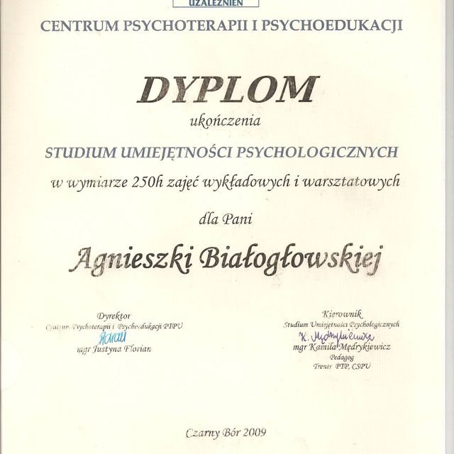 Powiększ obraz: certificate 3
