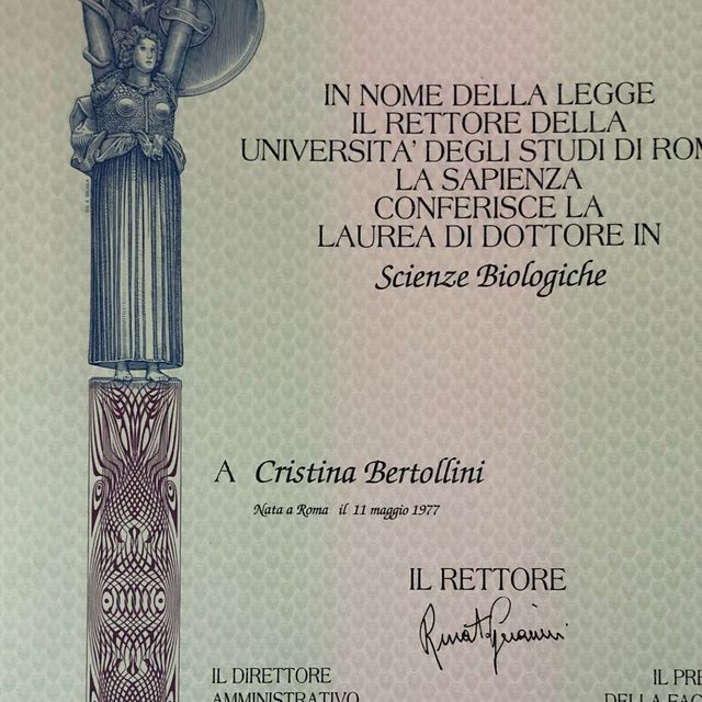 Ingrandire l'immagine: certificate 6