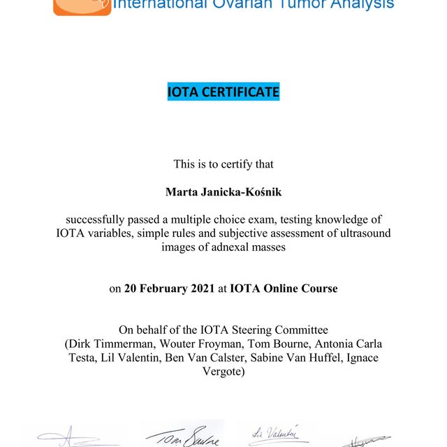 Powiększ obraz: certificate 2