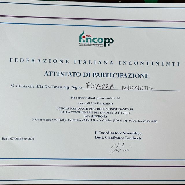 Ingrandire l'immagine: certificate 28