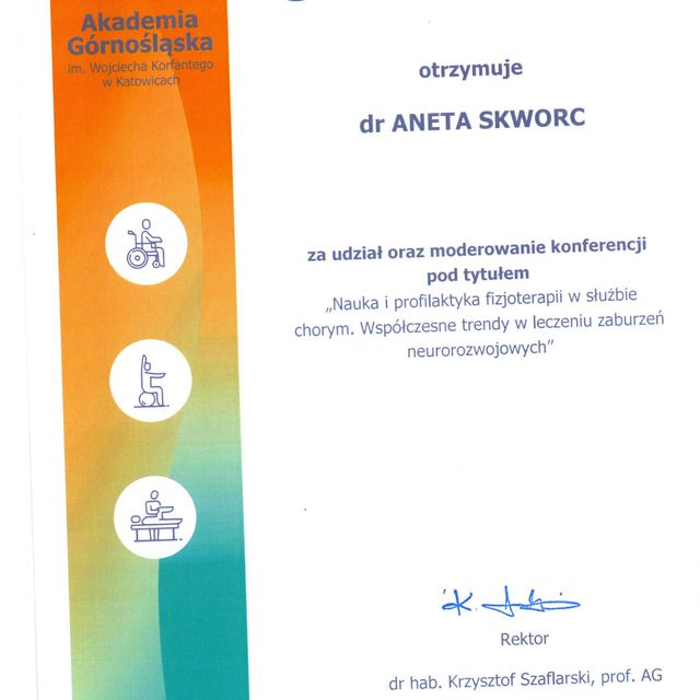 Powiększ obraz: certificate 11
