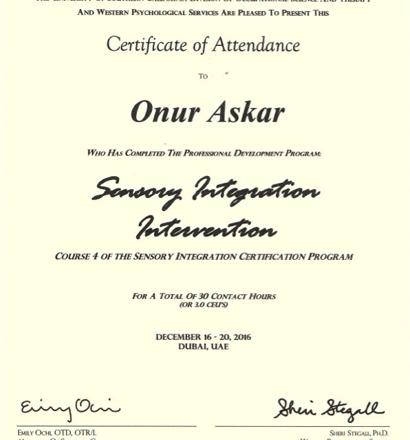 Resmi büyüt: certificate 4