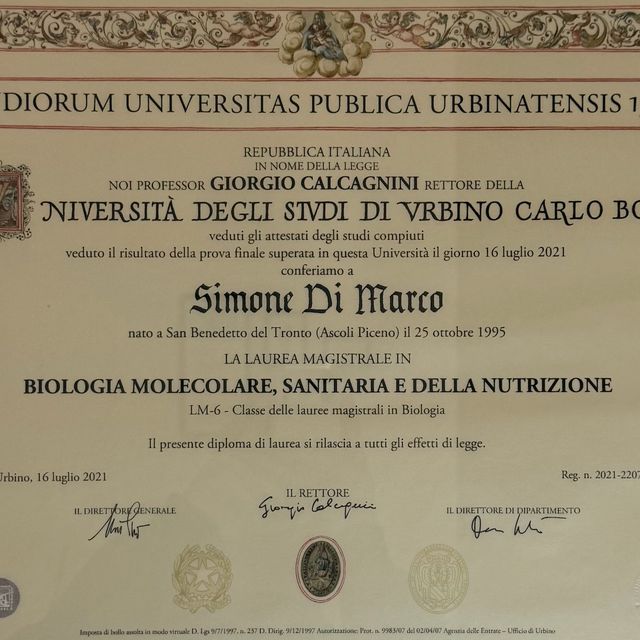 Ingrandire l'immagine: certificate 2