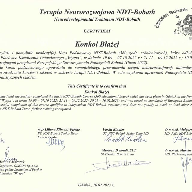 Powiększ obraz: certificate 1