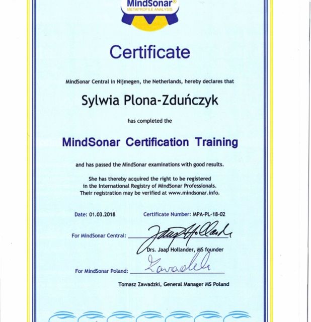 Powiększ obraz: certificate 5