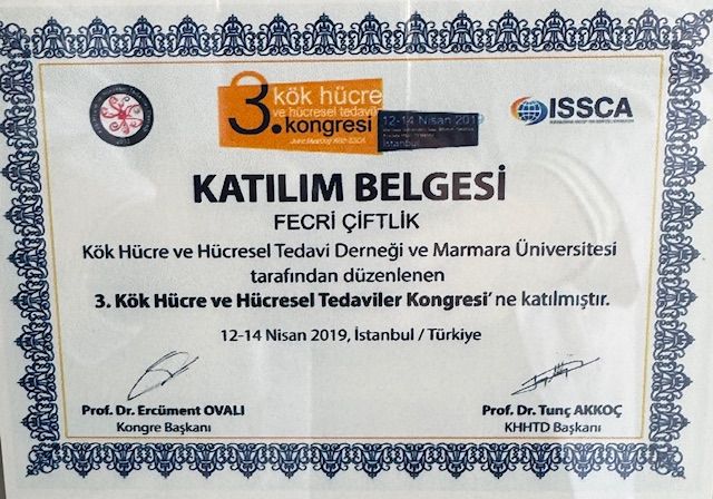 Resmi büyüt: certificate 12