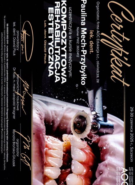 Powiększ obraz: certificate 2