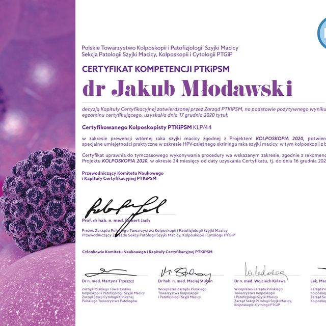 Powiększ obraz: certificate 8