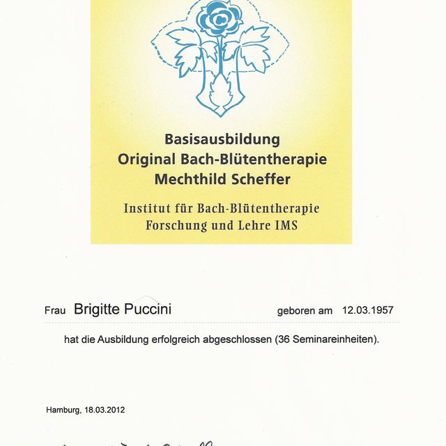 Bild vergrößern: certificate 10