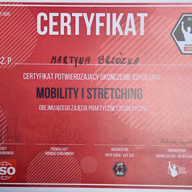 Powiększ obraz: certificate 5