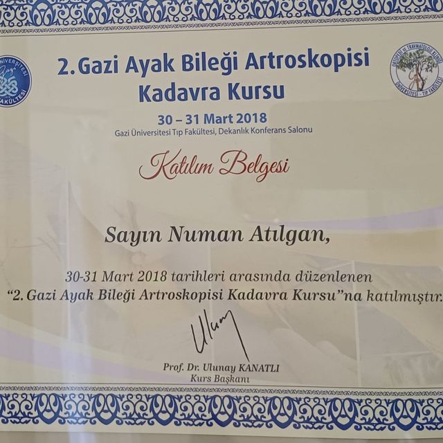 Resmi büyüt: certificate 13