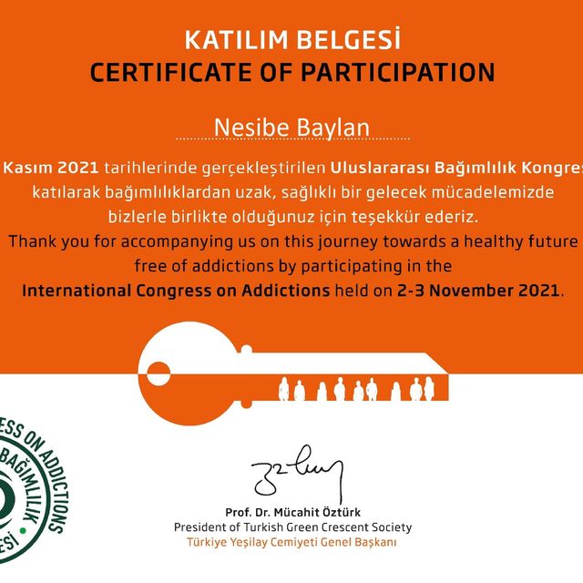 Resmi büyüt: certificate 2
