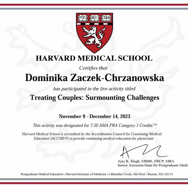 Powiększ obraz: certificate 4