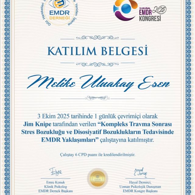 Resmi büyüt: certificate 34