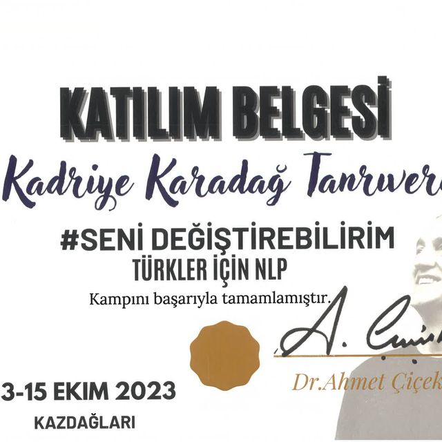 Resmi büyüt: certificate 21