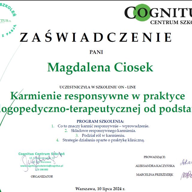 Powiększ obraz: certificate 17