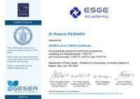 Ingrandire l'immagine: certificate 3