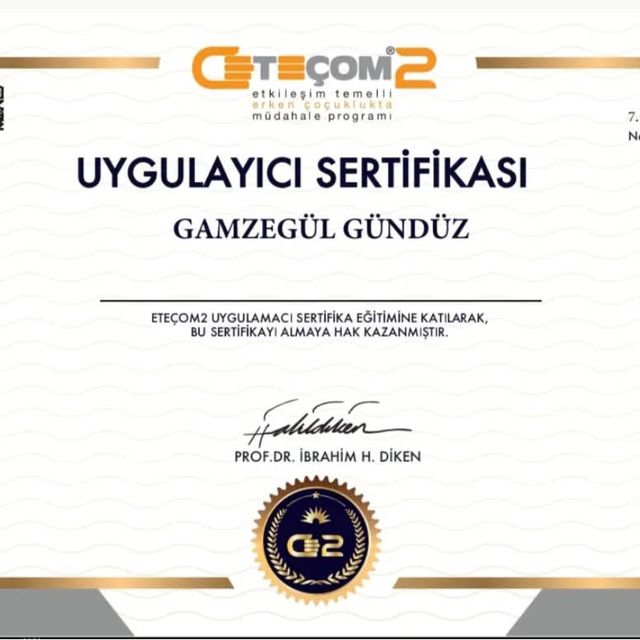 Resmi büyüt: certificate 1