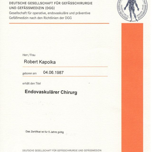 Powiększ obraz: certificate 11