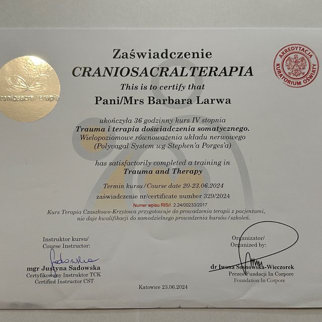 Powiększ obraz: certificate 20