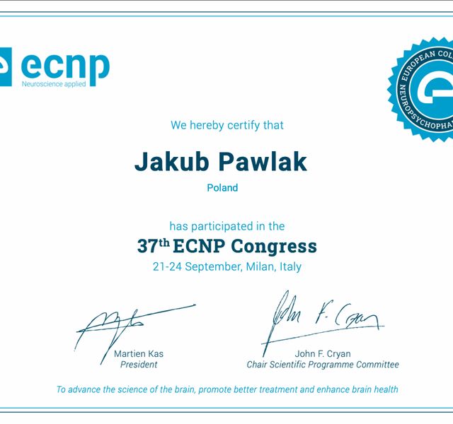 Powiększ obraz: certificate 6