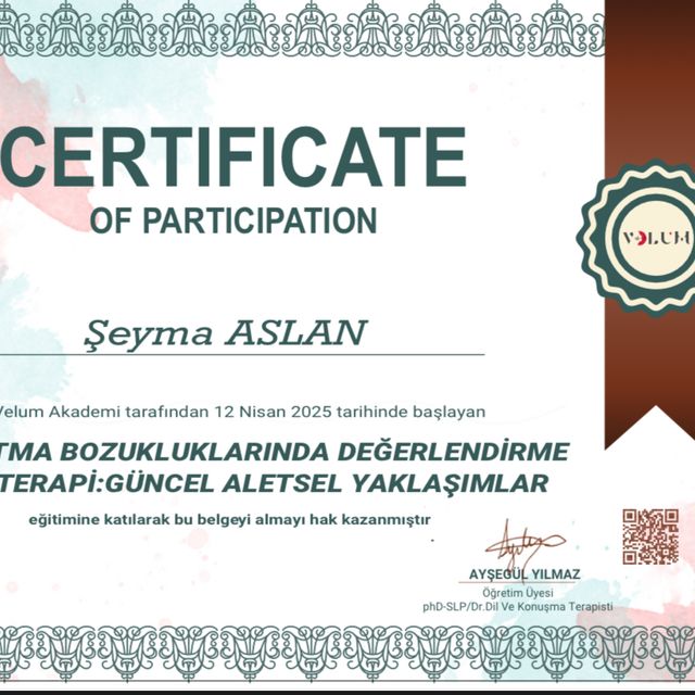 Resmi büyüt: certificate 13