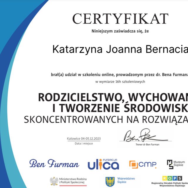Powiększ obraz: certificate 2
