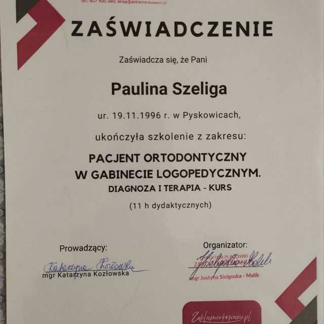Powiększ obraz: certificate 1