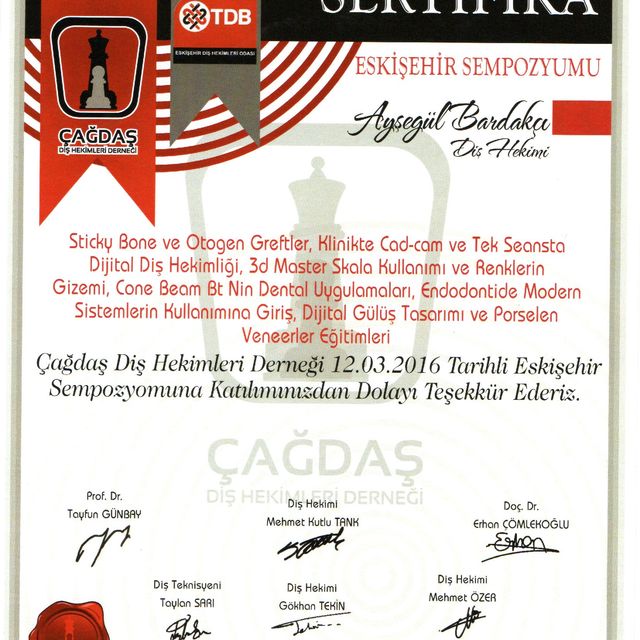 Resmi büyüt: certificate 1