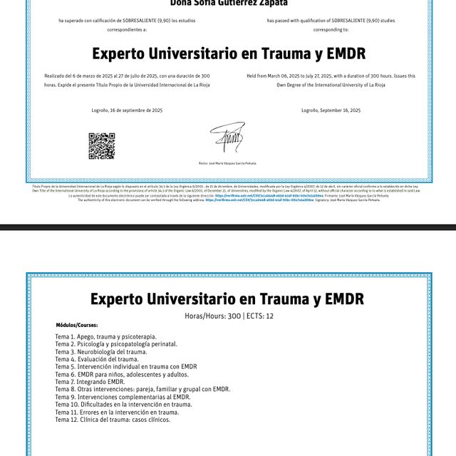 Acercar imagen: certificate 3