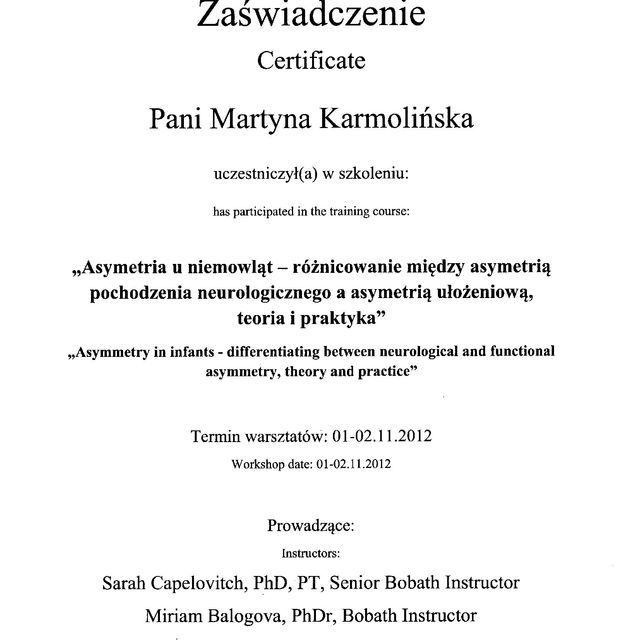 Powiększ obraz: certificate 1