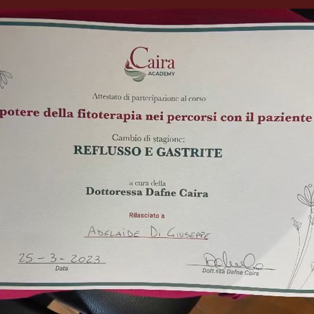 Ingrandire l'immagine: certificate 4