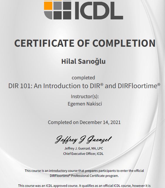 Resmi büyüt: certificate 1