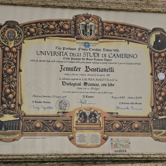 Ingrandire l'immagine: certificate 1