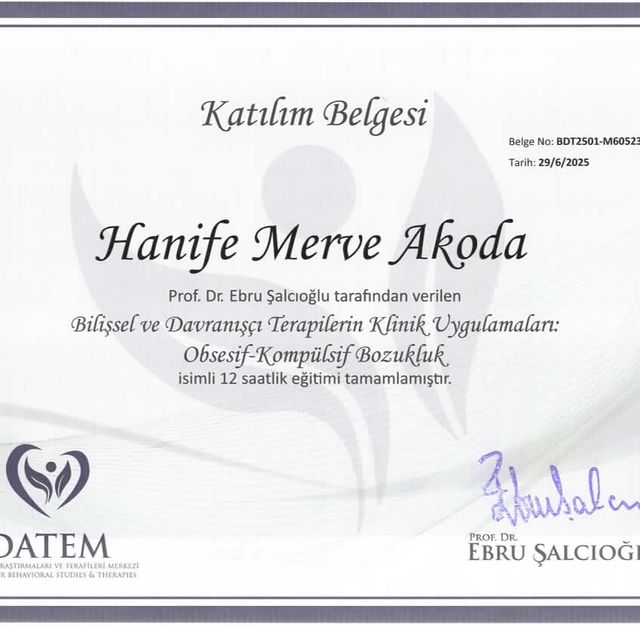 Resmi büyüt: certificate 14