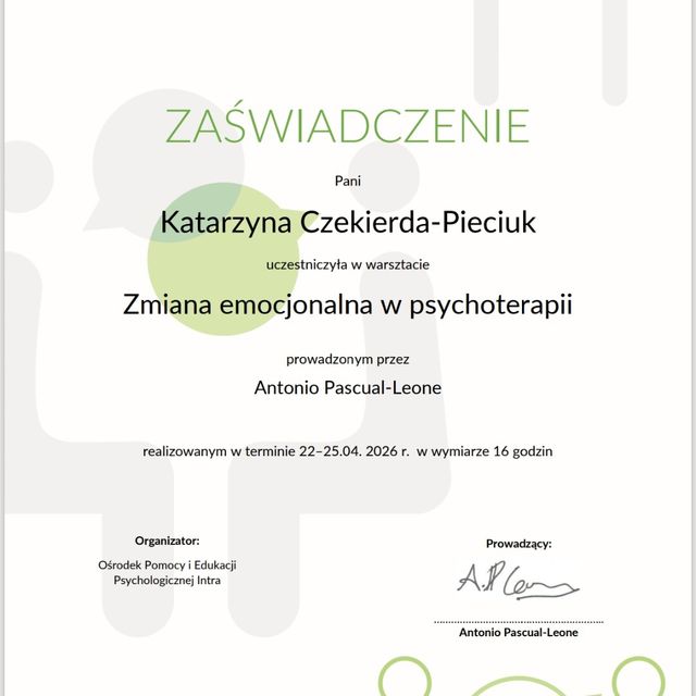 Powiększ obraz: certificate 4