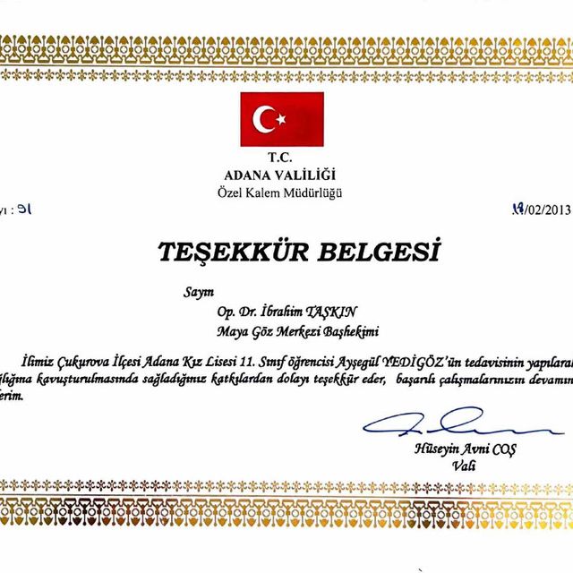 Resmi büyüt: certificate 61