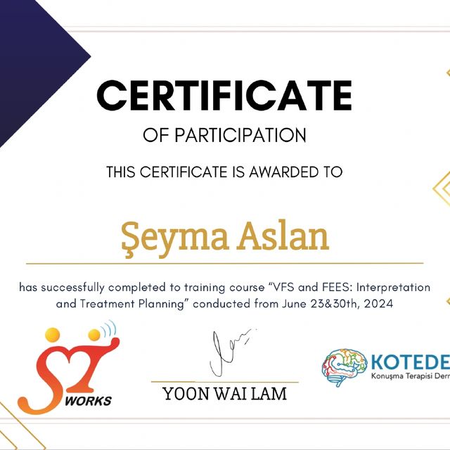 Resmi büyüt: certificate 5