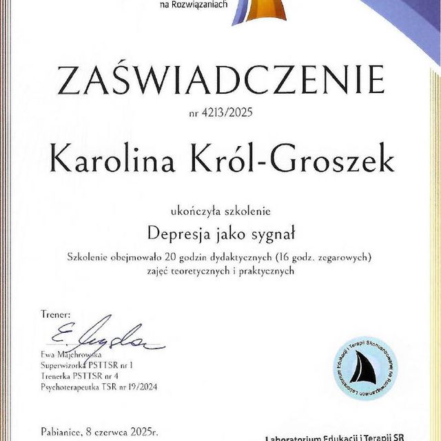 Powiększ obraz: certificate 2