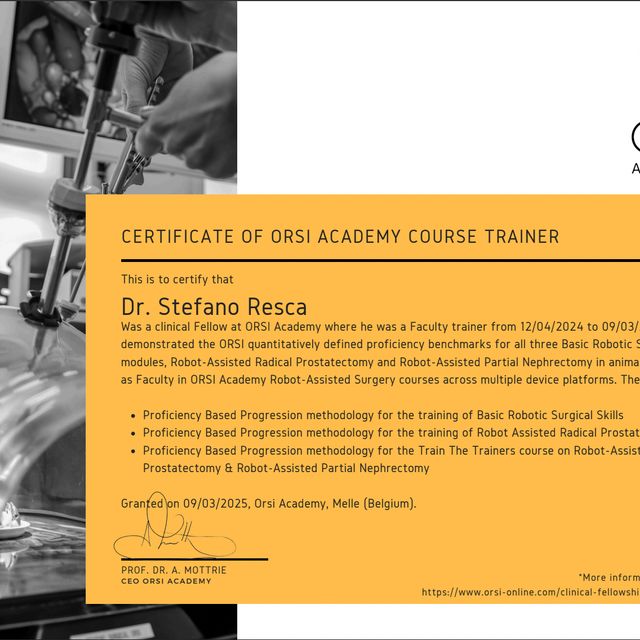 Ingrandire l'immagine: certificate 1