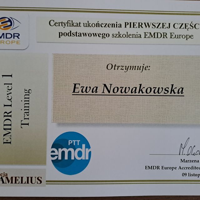 Powiększ obraz: certificate 1