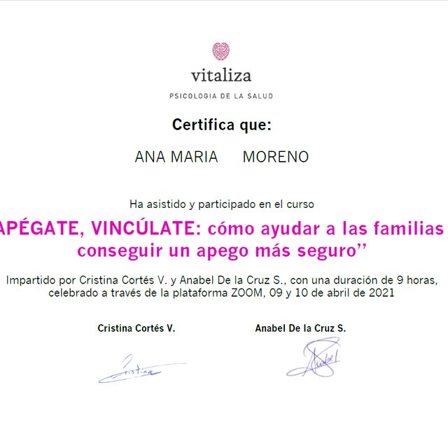 Acercar imagen: certificate 11
