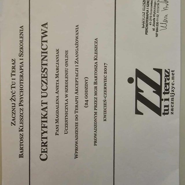 Powiększ obraz: certificate 11