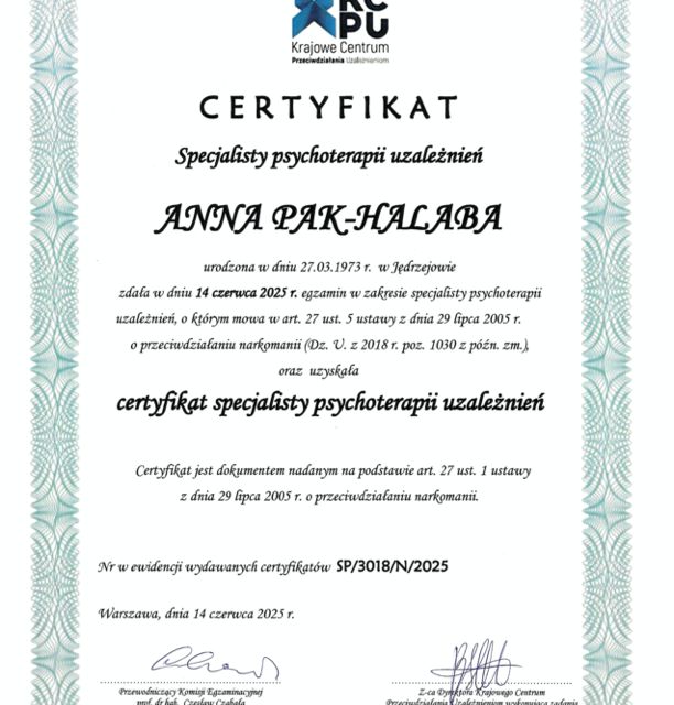 Powiększ obraz: certificate 2