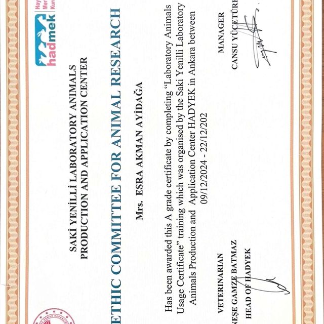 Resmi büyüt: certificate 10