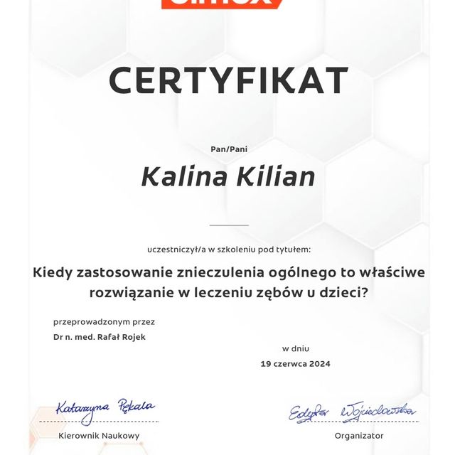 Powiększ obraz: certificate 2
