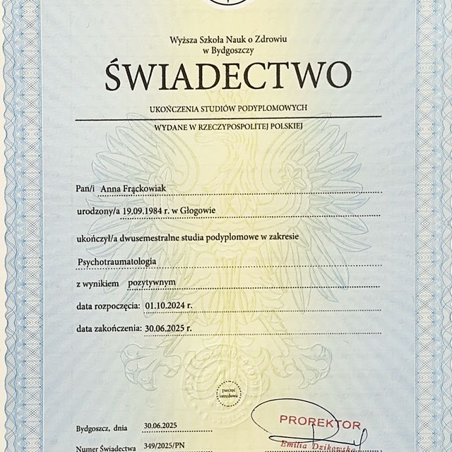 Powiększ obraz: certificate 1